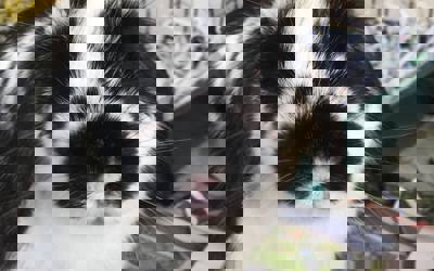 42261166_340324729846812_3009914640109928448_n.jpg