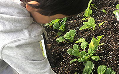 children in garden for sustainability at daycare