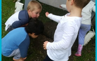 story_image_v2_o_1ed0op72g178b19461kcdkqs1kaq3n_640_wide.jpg