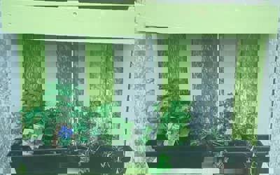 121109913_195180745312073_3858736953919316104_n6.jpg