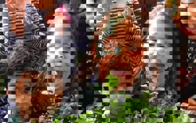 121095785_195180711978743_4024738397229164296_n 4.jpg